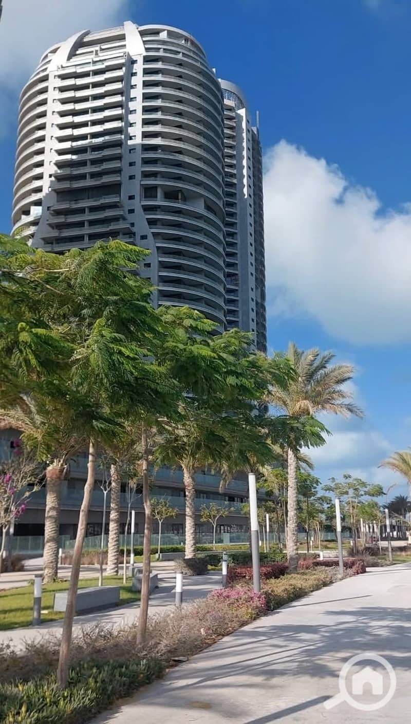 11 526762082_771678985375876_6653809223279771594_n. jpg