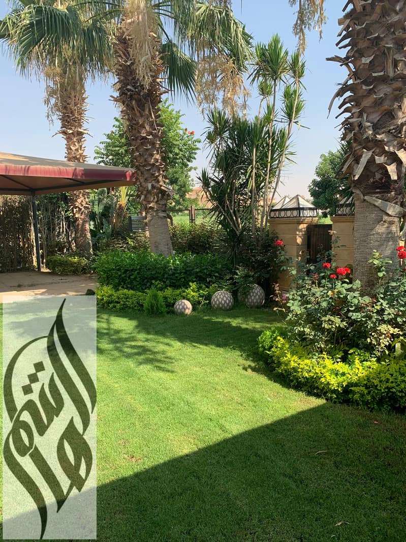 11 WhatsApp Image 2026-01-27 at 4.38. 56 PM. jpeg