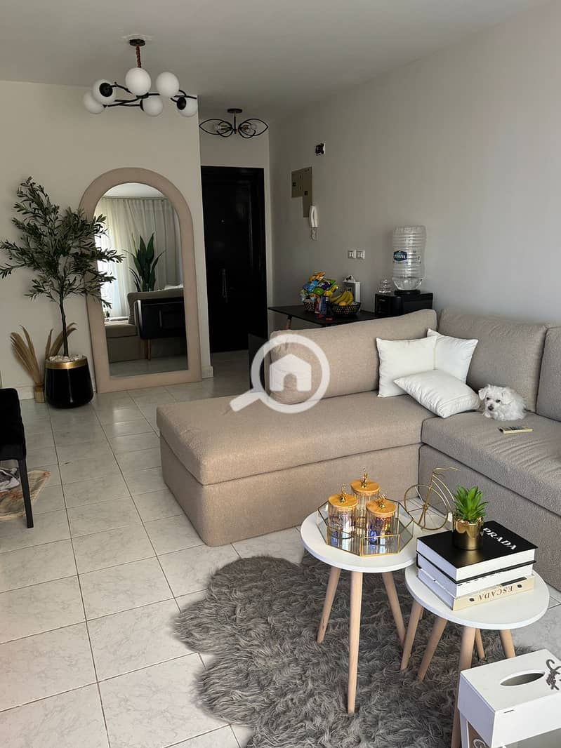 3 WhatsApp Image 2026-01-29 at 3.47. 54 PM (1). jpeg