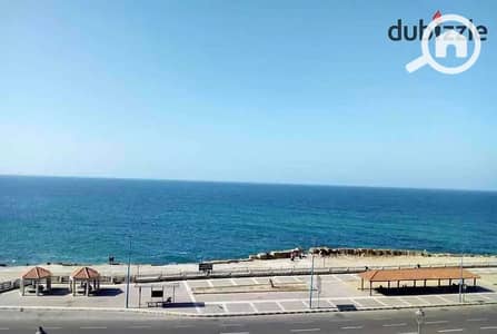 فلیٹ 2 غرفة نوم للايجار في كامب شيزار، الإسكندرية - b87317ea-8859-41bd-9611-282174c14d94. jpg