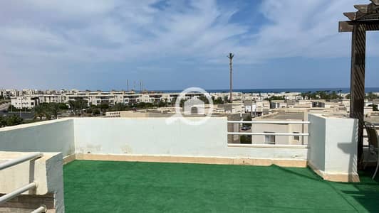 دوبلكس 4 غرف نوم للبيع في الساحل الشمالي، مطروح - WhatsApp Image 2026-01-25 at 7.59. 47 AM. jpeg