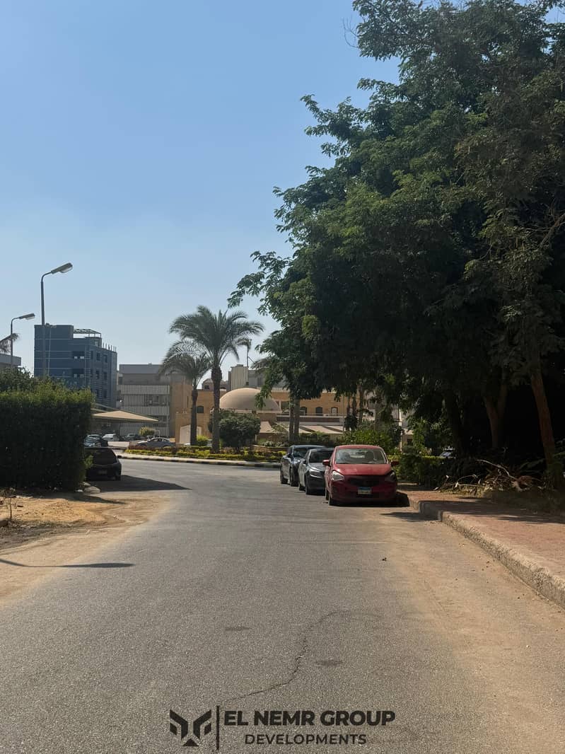 10 4116773b-f0f3-47a6-b759-268c6e6dddae. jpg