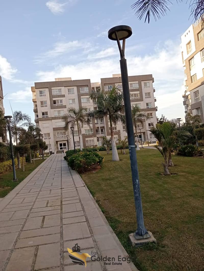 10 616784967_1562993768264483_8946667202259450229_n. jpg