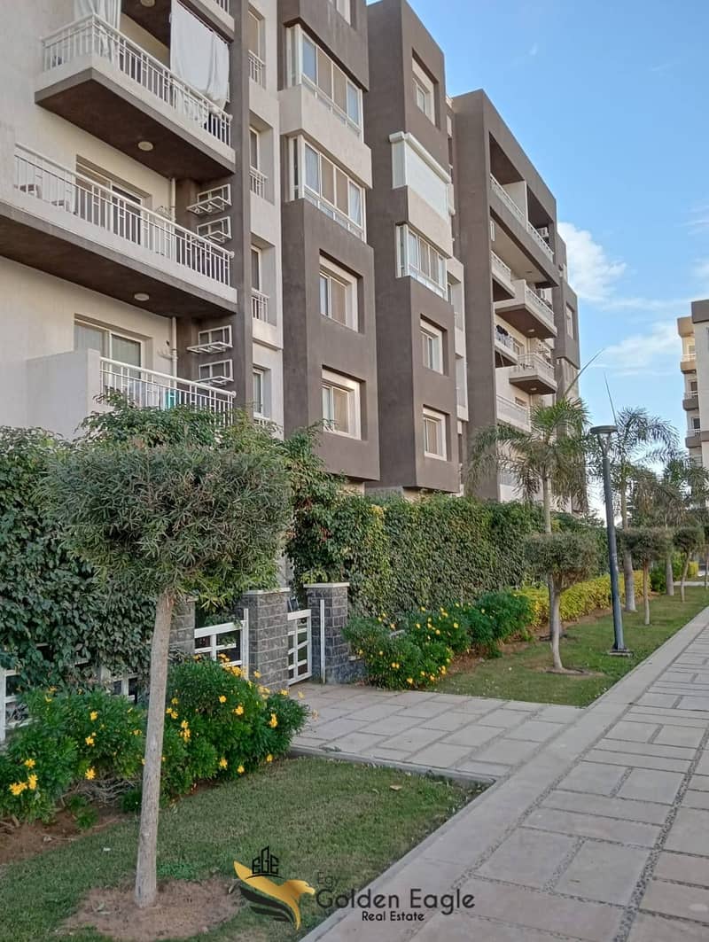 11 617097557_1562993431597850_8700491056194153535_n. jpg