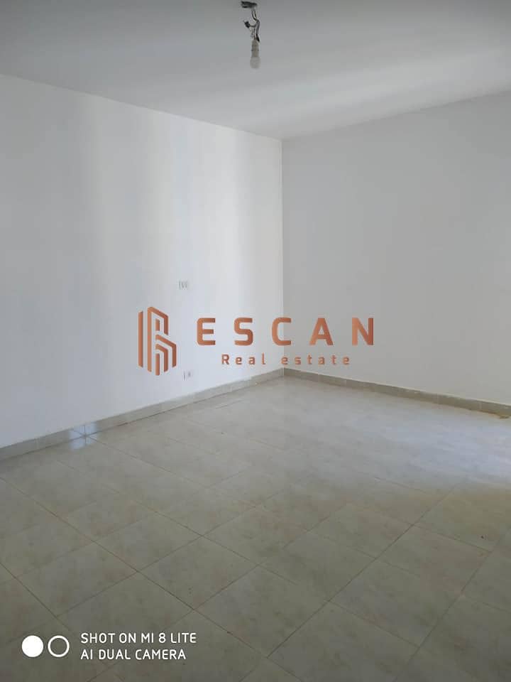 6 72637174_1262433620625336_5683691868185952256_n. jpg