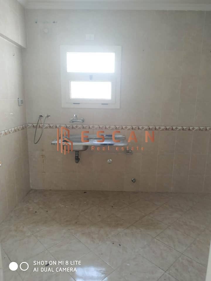 7 71398817_1262433790625319_4070647476321779712_n. jpg