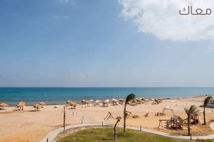 5 738edff6-668b-4c50-b3bf-f39ba2ca8aa4. jpg