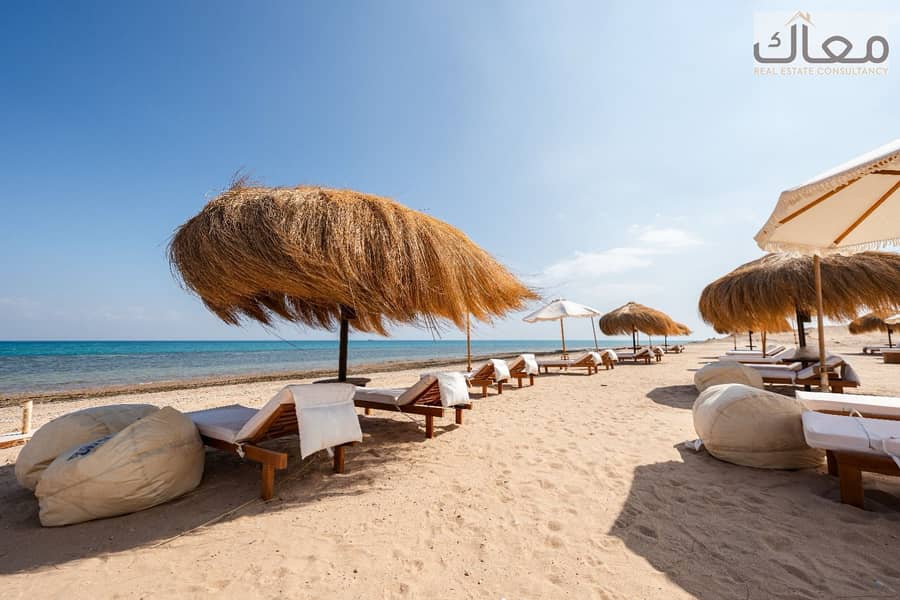 6 2194df81-f12d-4f71-b7ed-a47879706d24. jpg