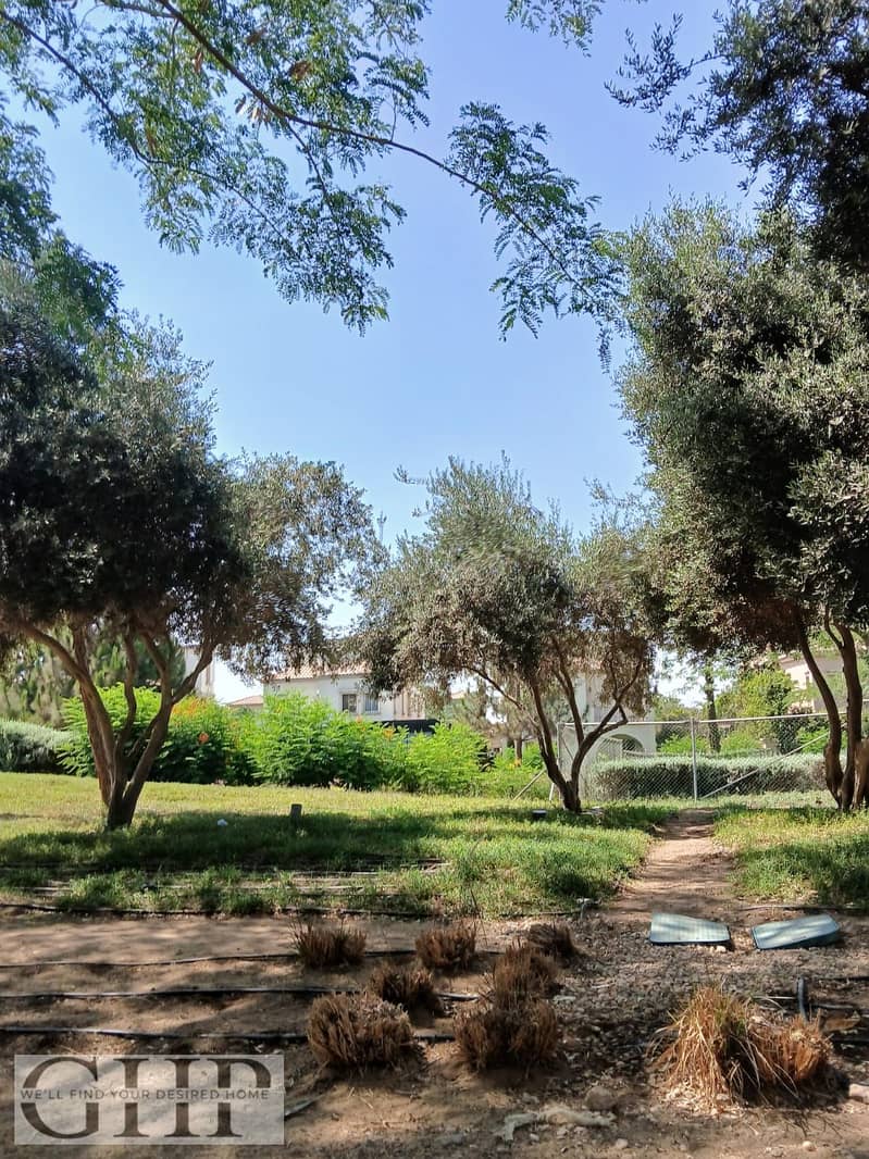 3 1b74419b-b04e-4753-98f4-ea59a16c6850. jpg