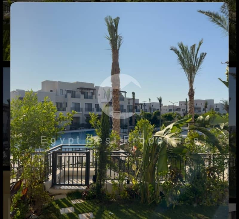 2 WhatsApp Image 2026-01-29 at 5.05. 18 PM. jpeg