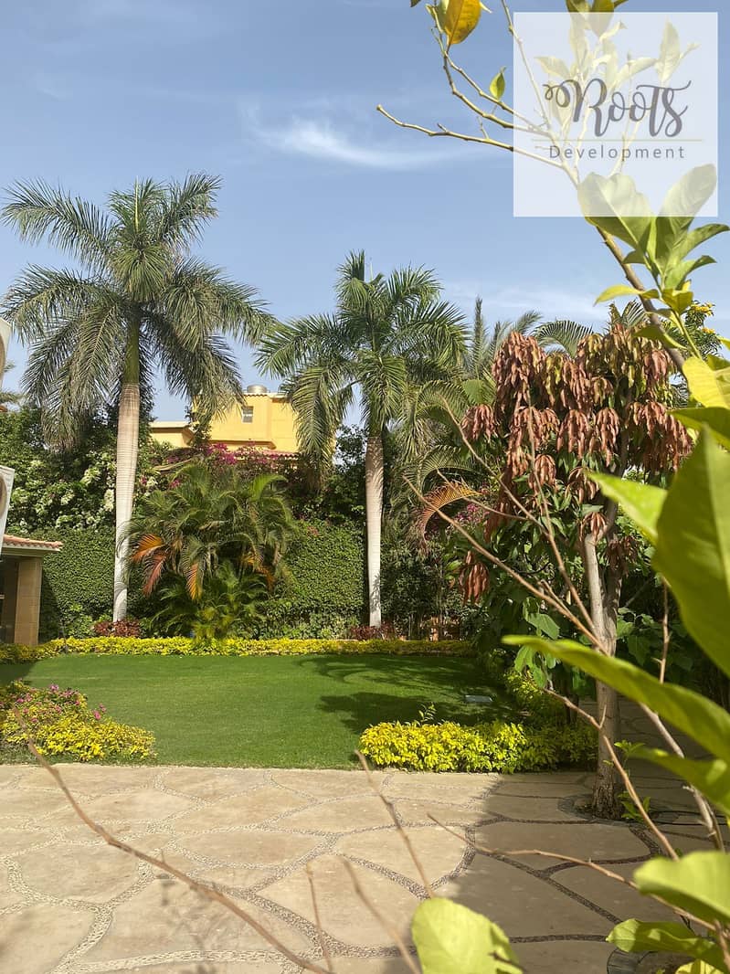 10 WhatsApp Image 2026-01-20 at 19.11. 44 (1). jpeg