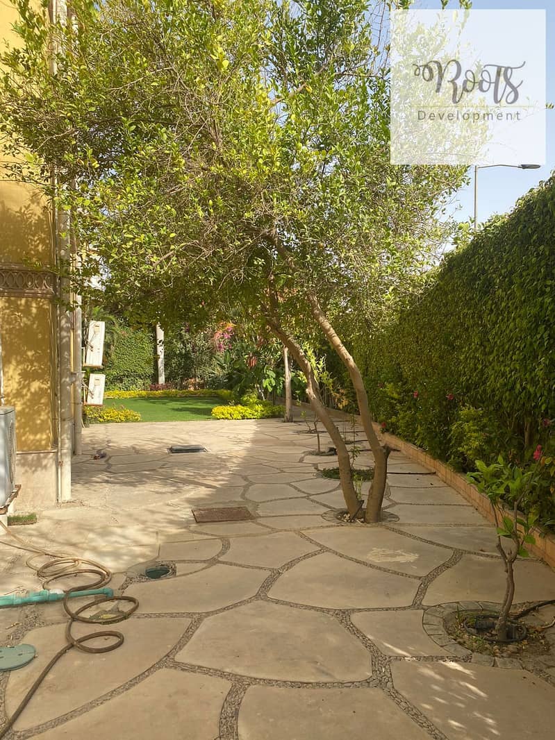 12 WhatsApp Image 2026-01-20 at 19.11. 44. jpeg