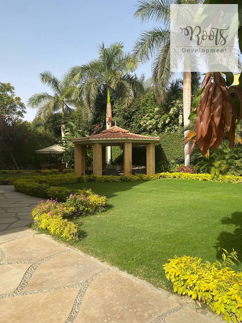 13 WhatsApp Image 2026-01-20 at 19.11. 46. jpeg