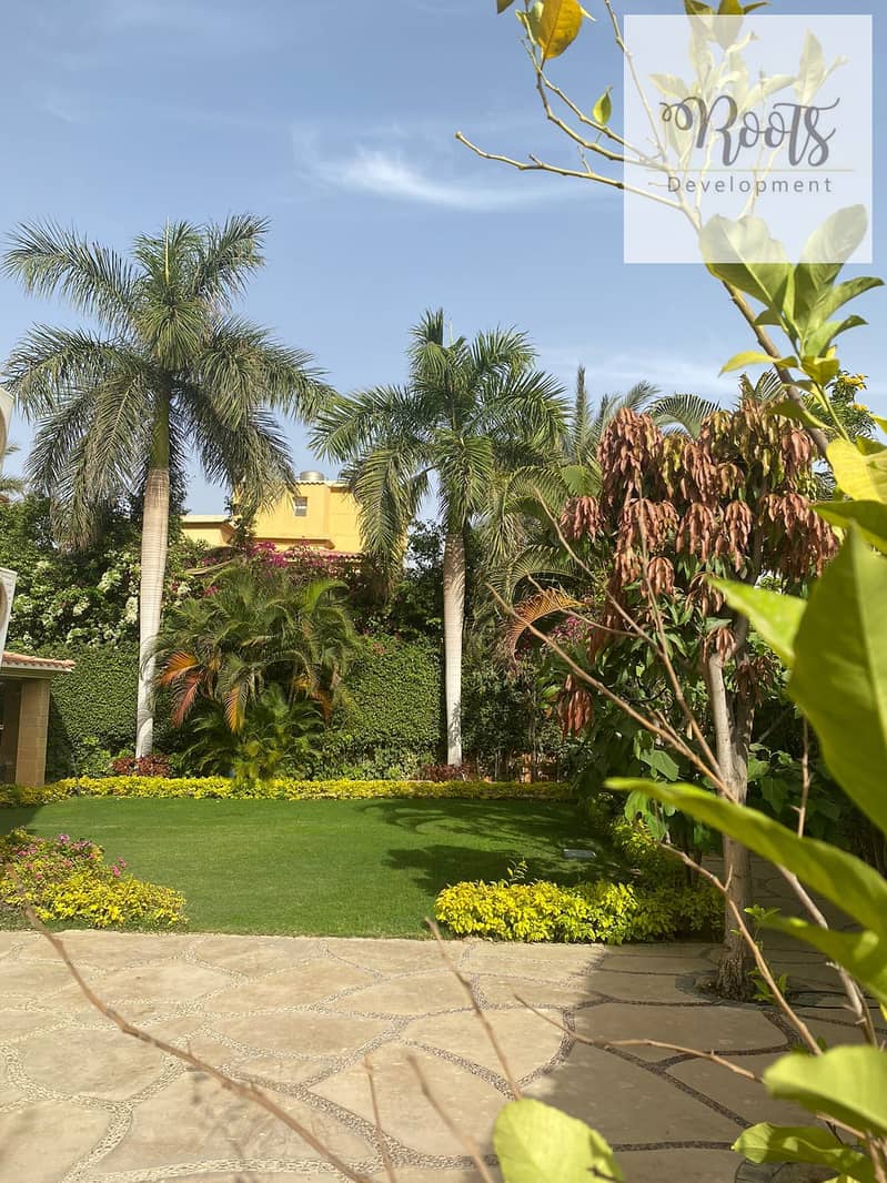 14 WhatsApp Image 2026-01-20 at 19.11. 47 (2). jpeg