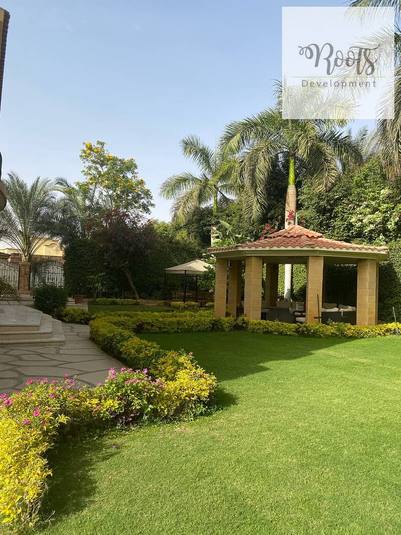 16 WhatsApp Image 2026-01-20 at 19.11. 48 (3). jpeg