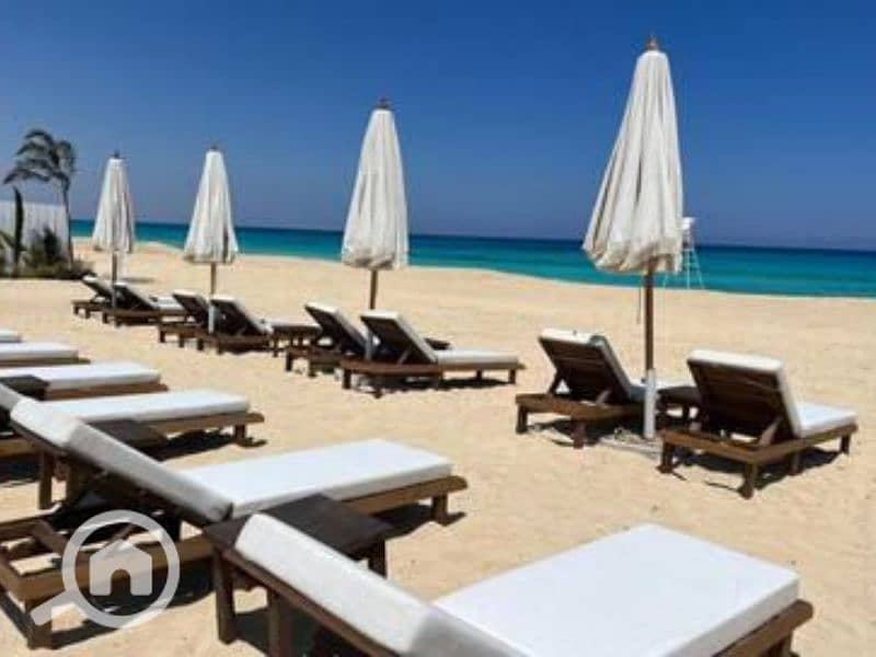 3 Untitled design - 2023-05-02T150908.084. png