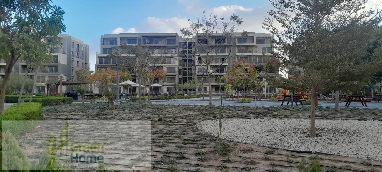 13 20260109_161944. jpg