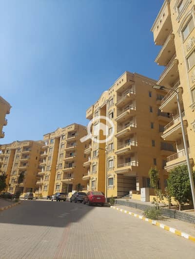 3 Bedroom Apartment for Sale in New Cairo, Cairo - WhatsApp Image 2026-01-29 at 5.37. 13 PM. jpeg