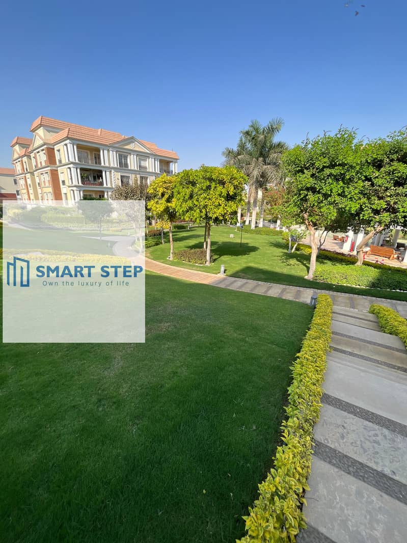 6 33a8e709-d994-45b3-ad71-2006a6a5eec1. jpg