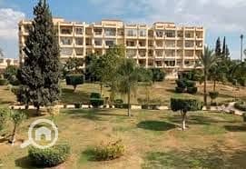 12 download (2). jpg