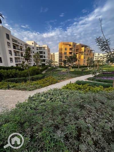 2 Bedroom Apartment for Rent in 6th of October, Giza - WhatsApp Image 2026-01-25 at 12.35. 25 PM. jpeg