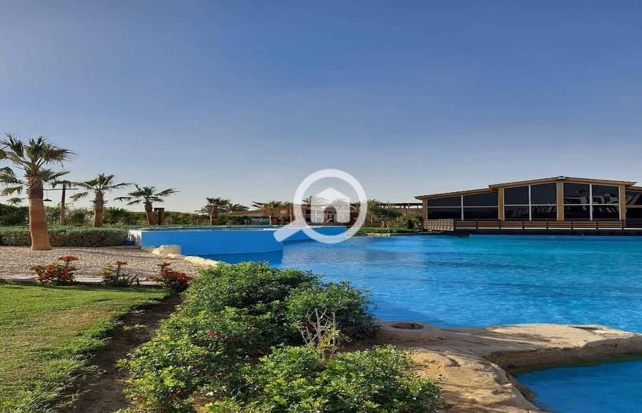 6 9668fcfb-8a0f-4aba-b00c-944b64f2f1d7. jpg