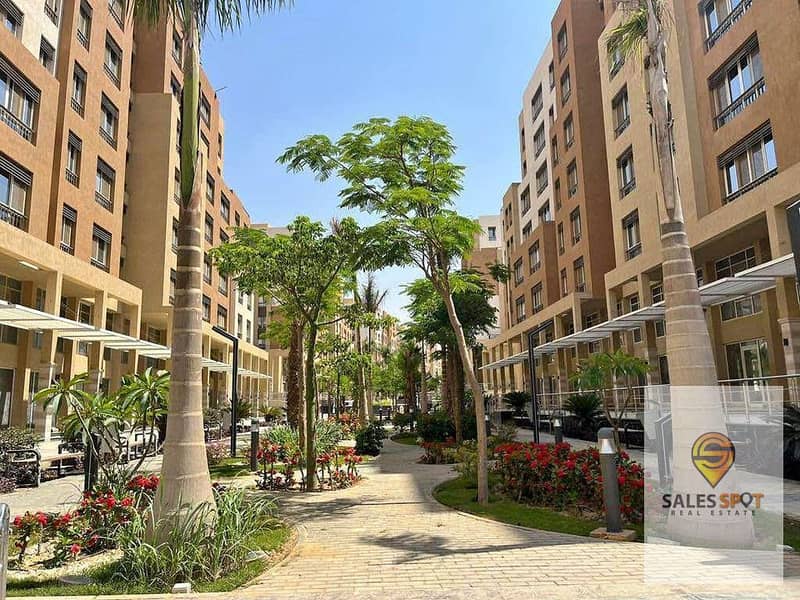 14 406266903_7287978724570006_951154431168225215_n. jpg