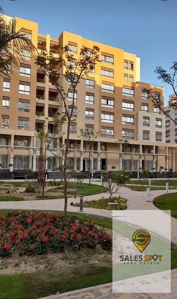 15 416019483_7281969451846654_7233622747108189360_n. jpg