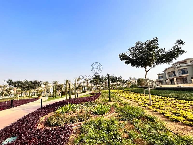 6 82951132-8ee2-4668-82f9-ed444d5ef466. jpg