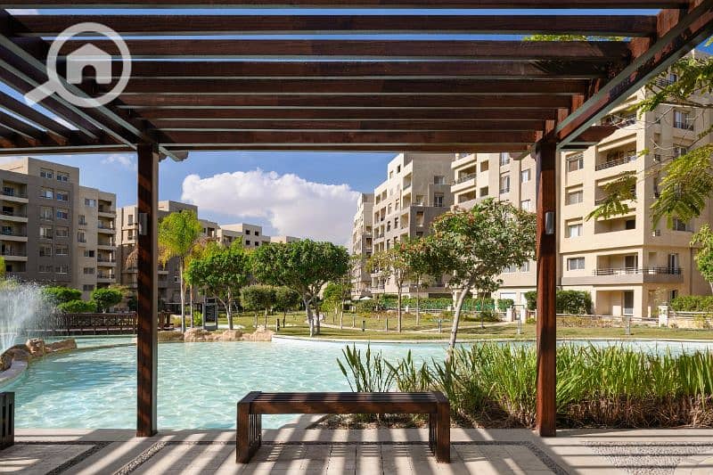 10 01JNJVN17VXTZ8HYSJ2YNR117Z. jpg