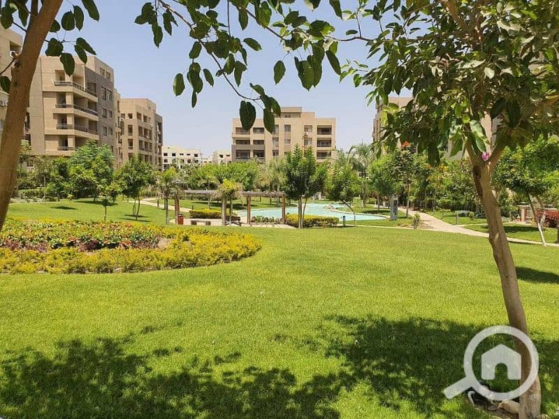 12 591716998_1307683291397325_7307414453733736167_n. jpg