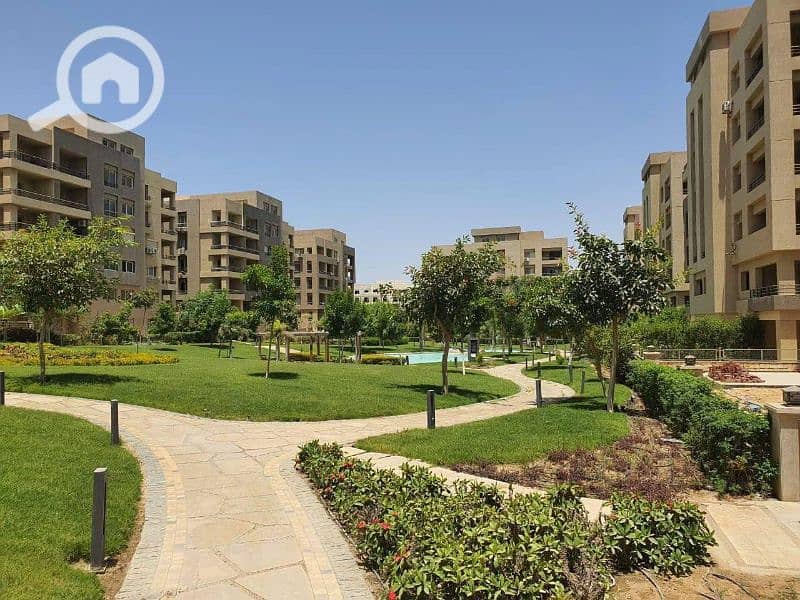 15 595780043_1858173538400679_3232773869050955236_n. jpg