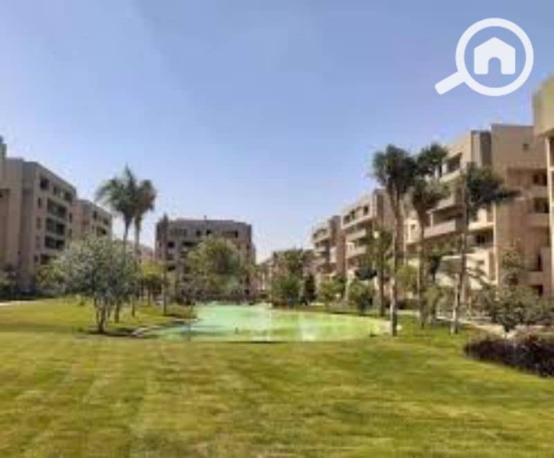 19 images (3). jfif. jpg