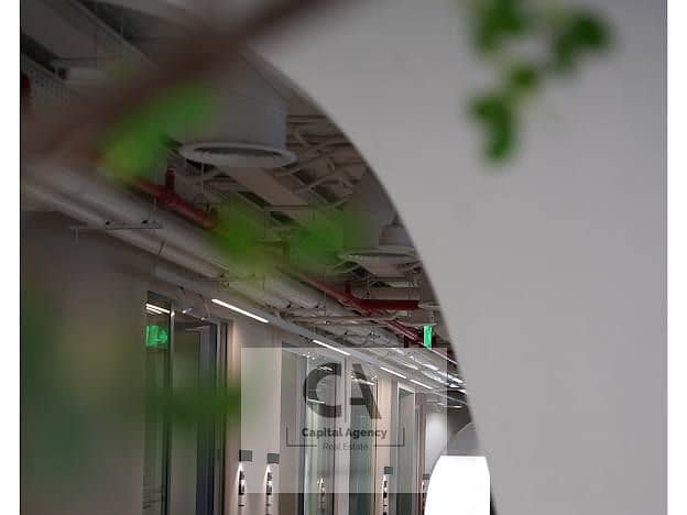 7 e093804a-c16d-449f-9814-798448b339b6. jpg