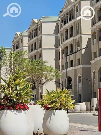 7 33914542-400x300. jpeg