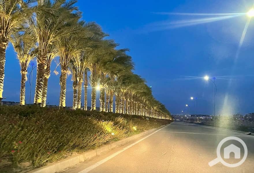 4 8d0f9f9b-9a5a-4983-8d5d-c4b16dcfcc92 - Copy. jpg