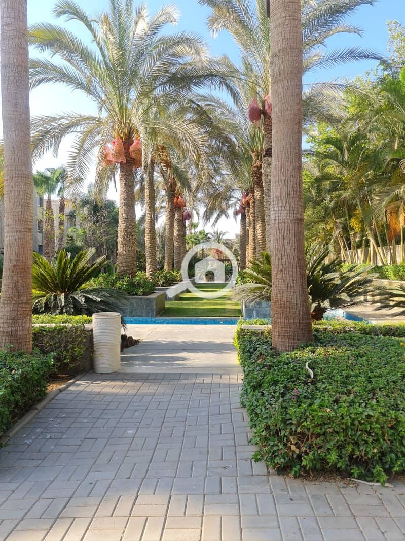 17 WhatsApp Image 2025-08-18 at 10.24. 04 PM (1). jpeg