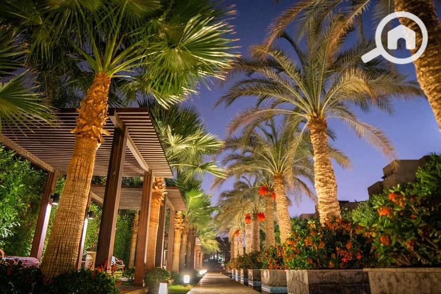 18 WhatsApp Image 2026-01-19 at 12.38. 46 PM. jpeg