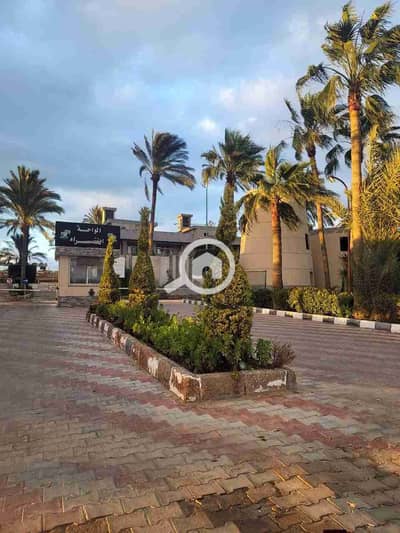 5 Bedroom Villa for Sale in King Mariout, Alexandria - 1000441088. jpg