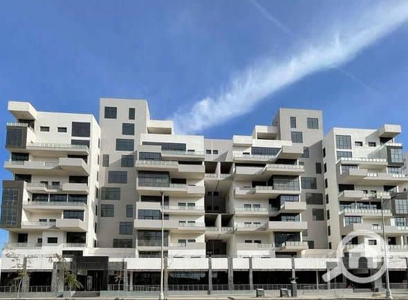 14 585481424_2550371678678012_6553493782585364256_n. jpg