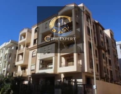 5 WhatsApp Image 2026-01-29 at 5.33. 06 PM (2). jpeg