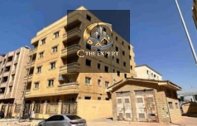 7 WhatsApp Image 2026-01-29 at 5.33. 06 PM (4). jpeg