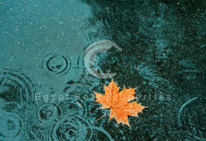 10 WhatsApp Image 2023-03-12 at 10.12. 33 AM. jpeg