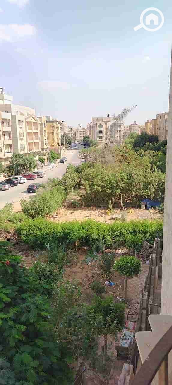 10171. jpg 10171. jpg