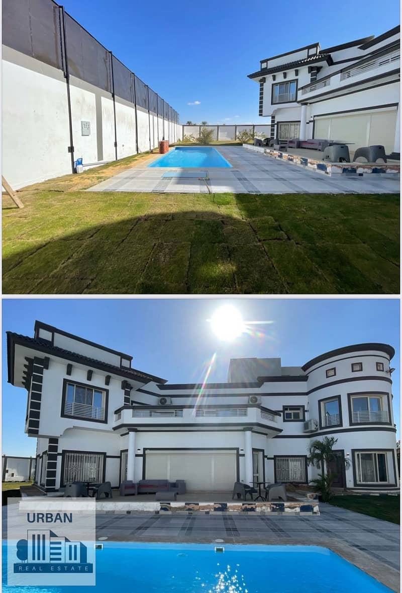 5 d43203af-c4a1-4d99-8f4f-2d062dc6a219. jpg