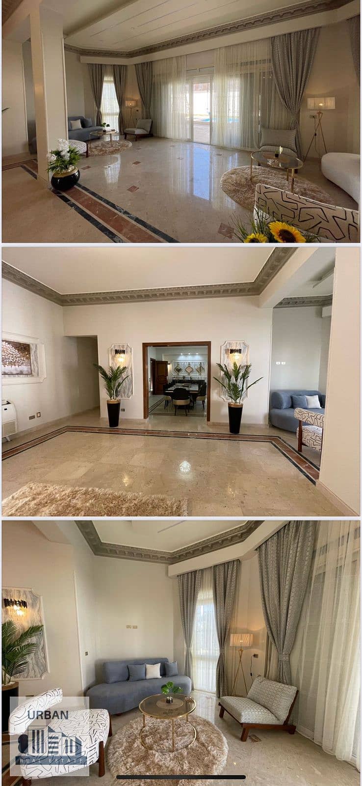 11 461726ea-f266-4557-a1a5-c1ce1a0c319c. jpg