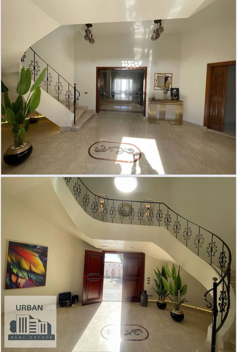 16 e81499e3-58b7-4714-a6b5-50675a76605a. jpg