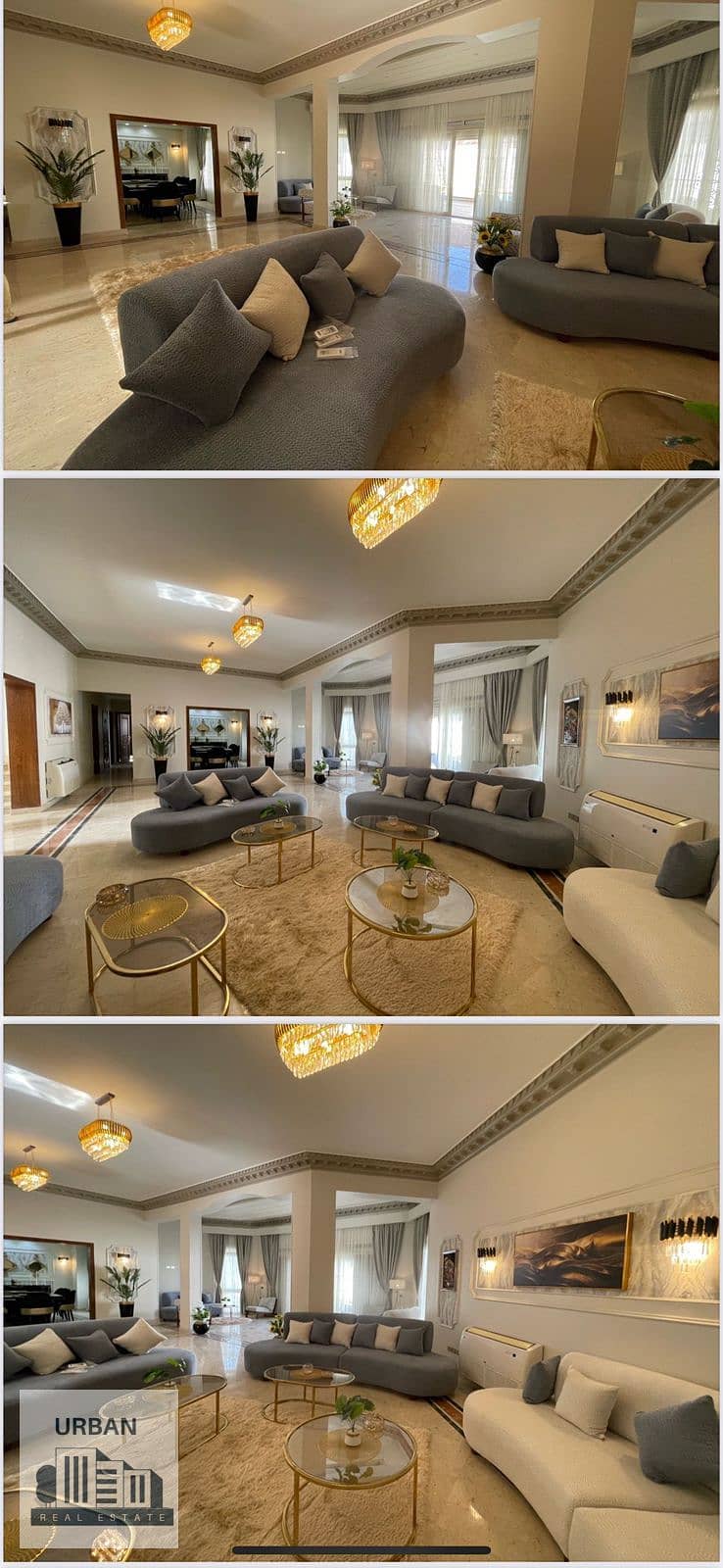 17 ee705664-d400-4000-997c-c15806149aac. jpg