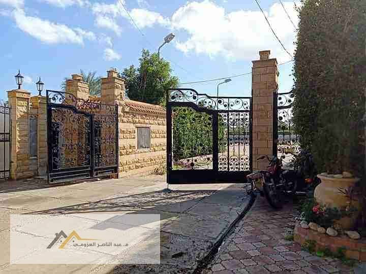 21 FB_IMG_1626384564390. jpg