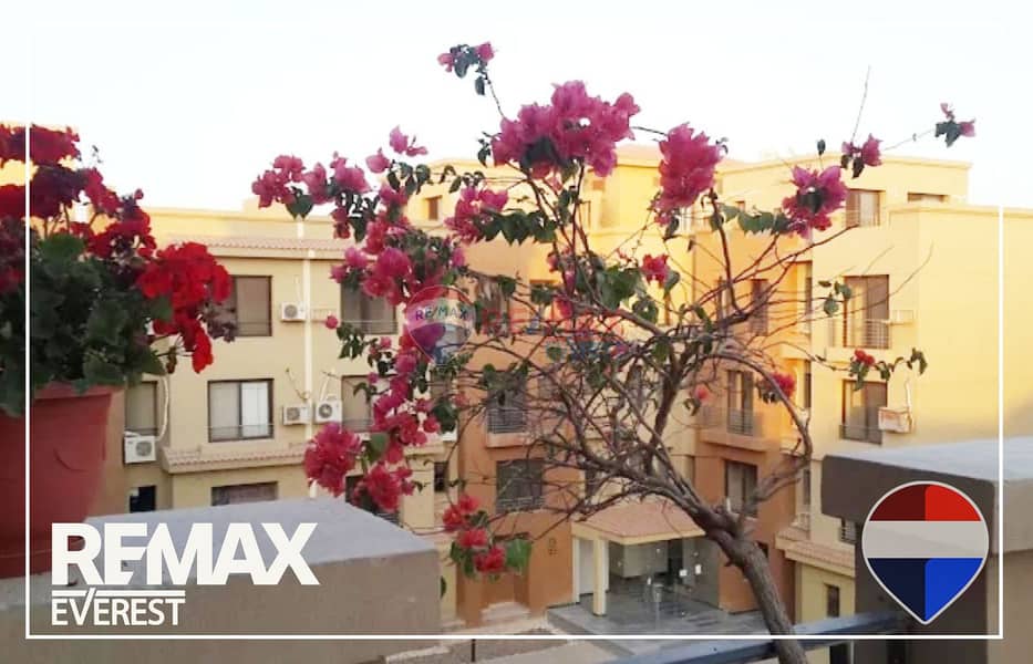 4 WhatsApp Image 2026-01-27 at 3.13. 45 PM (2). jpeg